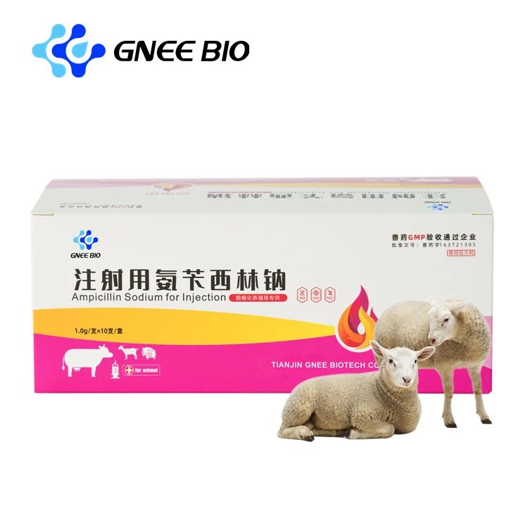Ampicillin for Injectable powder Ampicillin for Injectable powder