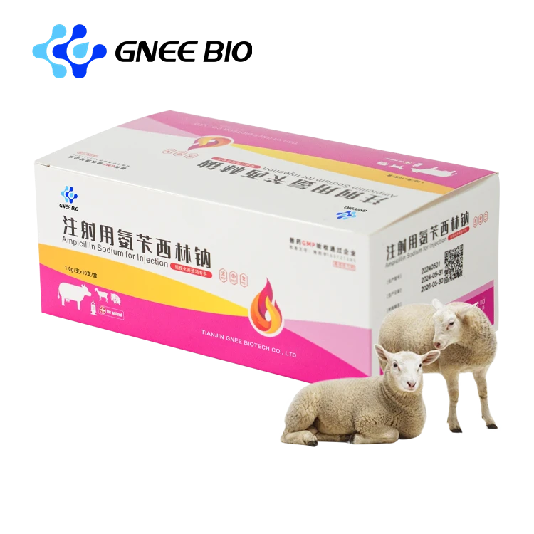Ampicillin Soluble powder for animals Ampicillin Soluble powder for animals