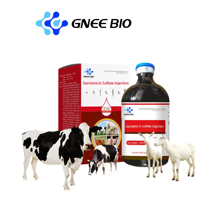 GMP Veterinary Medicines Gentamicin Injection GMP Veterinary Medicines Gentamicin Injection